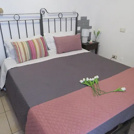 Regina Carolina 3*